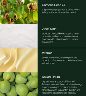 Basking Beauty Natural Sunscreen SPF50