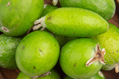 Kakadu plum