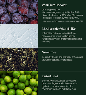 No.2 Citrus Rhapsody Toner Mist