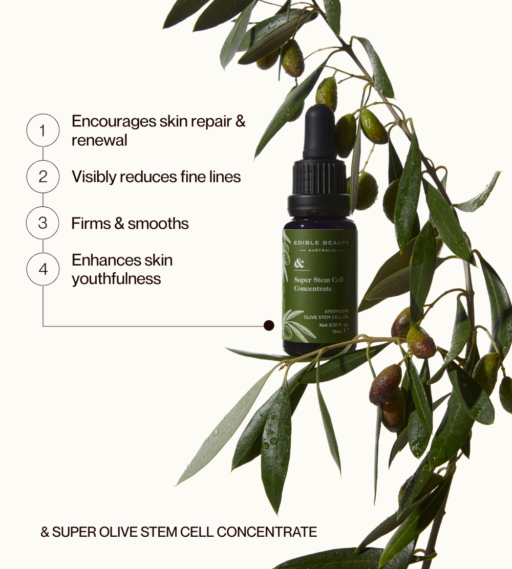 Super Olive Stem Cell Concentrate