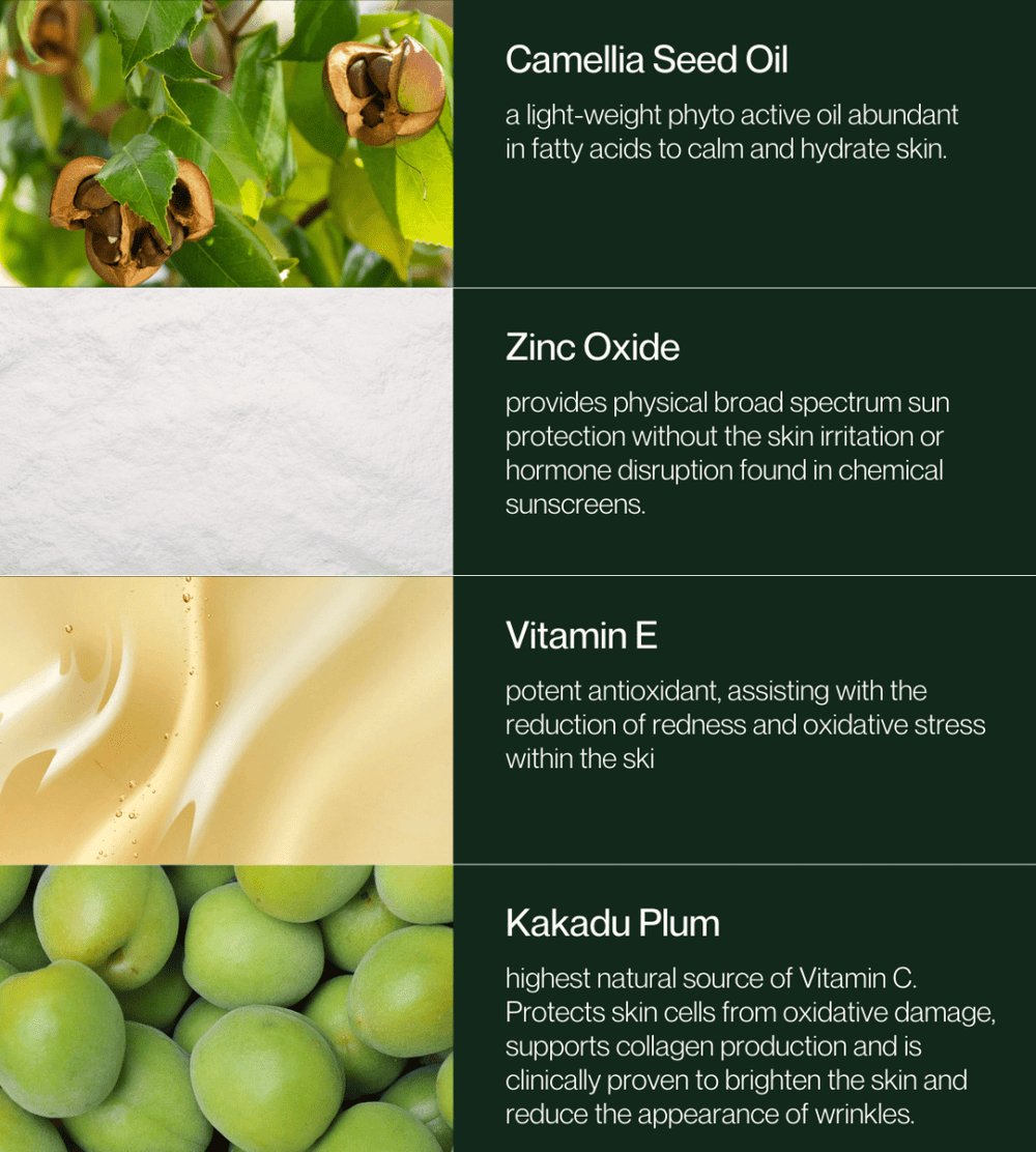 Basking Beauty Natural Sunscreen SPF50