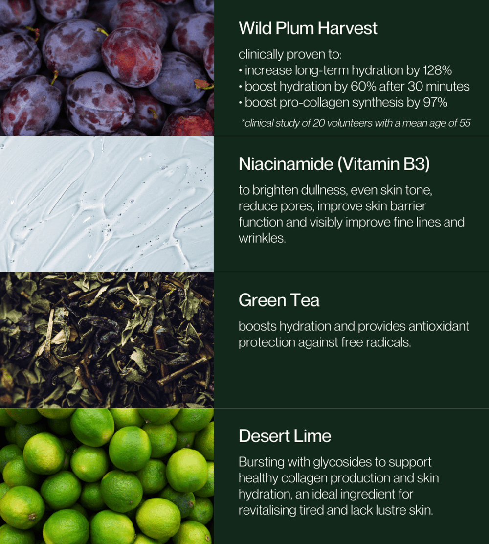 No.2 Citrus Rhapsody Toner Mist